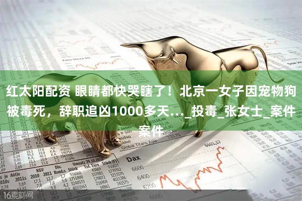 红太阳配资 眼睛都快哭瞎了！北京一女子因宠物狗被毒死，辞职追凶1000多天…_投毒_张女士_案件